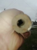 IMG_20200314_075833.jpg