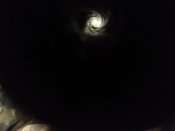IMG_20200312_192412.jpg