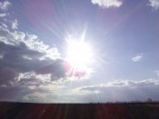 IMG_20200314_155313.jpg