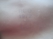 IMG_4232.JPG