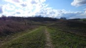 DSC_0283.JPG