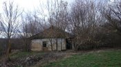 DSC_0281.JPG