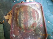 DSCN7194.jpg