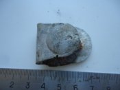 3ацеп к немецкой сухарке.