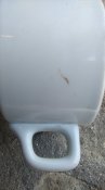 IMAG5554.jpg