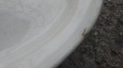 IMAG5674.jpg