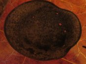 IMG_1288.JPG