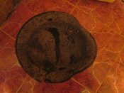 IMG_1292.JPG