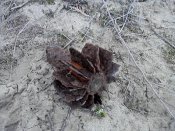 P17-01-13_14.04.jpg