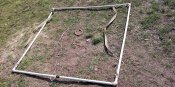 IMG_20200318_121420.jpg
