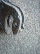 DSC02805.JPG