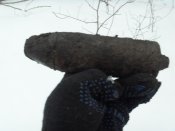 SDC13416.jpg