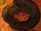 IMG_1320.JPG