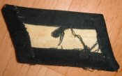 DSC04342.JPG