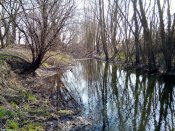 IMG_20200319_124906.jpg