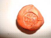DSC00658.JPG