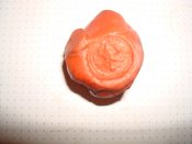 DSC00668.JPG