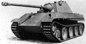 panthera5.jpg