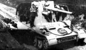 grille88mmflakph1.jpg