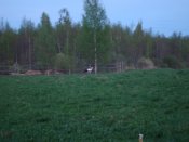DSC03268.JPG