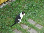 DSC03257.JPG
