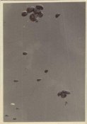 gr-Falschirmj%E4ger-153.jpg