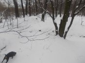 DSCN5271.jpg