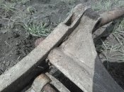 IMG_20200321_121119.jpg