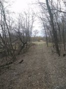 IMG_20200321_115641.jpg