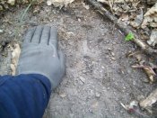 100_6394.JPG