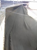 IMG_20200319_153740.jpg