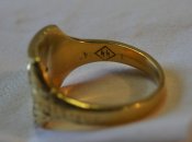 DSC08157.jpg