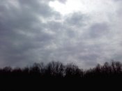 IMG_20200321_123515.jpg
