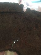 Облицовка радиатора ГАЗ АА
