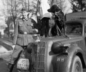 376-Opel-30.JPG