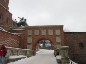 IMG_0090.jpg