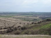 DSCN4293.JPG