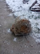 IMG_20200323_085723.jpg