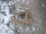 IMG_20200323_085658.jpg