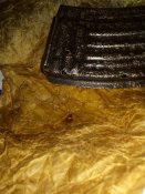 IMG_20200324_092152.jpg