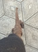 дудка вм