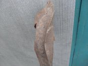 SDC14785.jpg