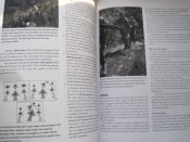 Paintball and airsoft battle tactics.  (А4)