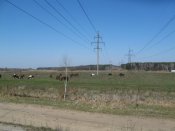 IMG_004.JPG