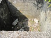 IMG_2125.jpg