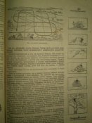 P1200015.jpg
