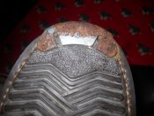 DSCN8568.jpg
