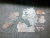 IMG_20200330_161739.jpg