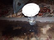 IMG_20200330_201649.jpg