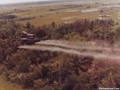 UH-1D 3.jpg